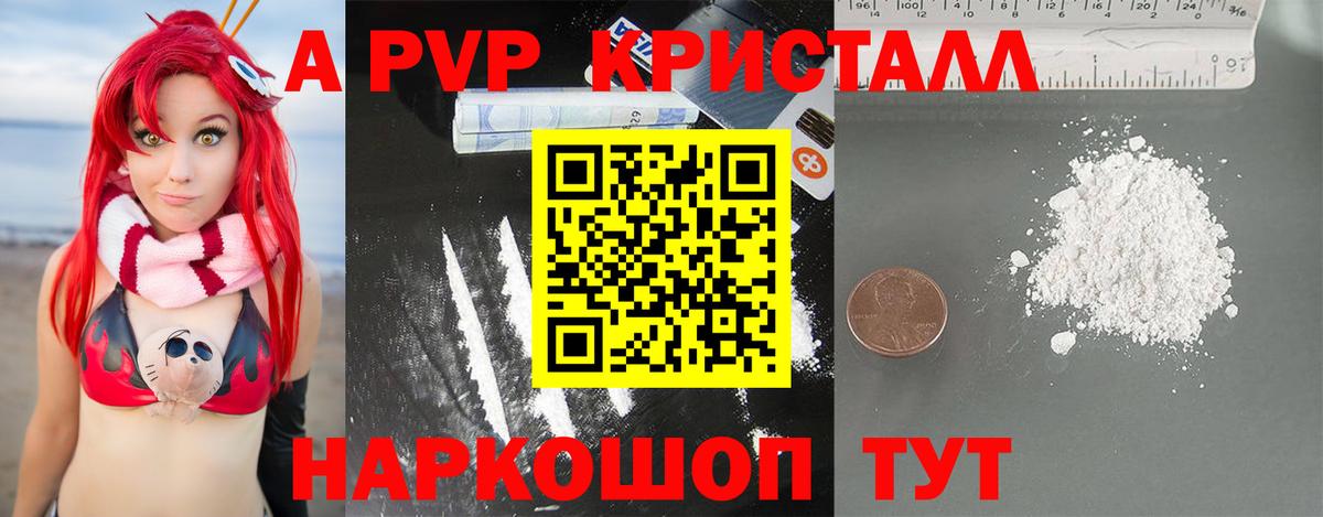 APVP СК Нововоронеж